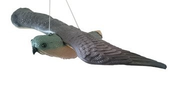 Odstraszacz ptaków Sokół z rospostartymi skrzydłami