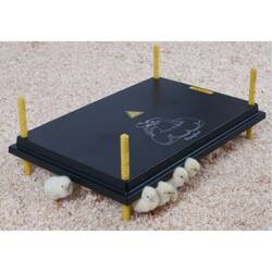 Płyta grzewcza „Comfort" dla piskląt 40x60cm, 56W / 220-240V WP-60