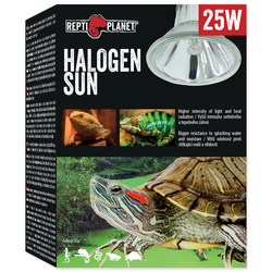 REPTI PLANET Sun żarówka halogenowa 25W - 007-41231