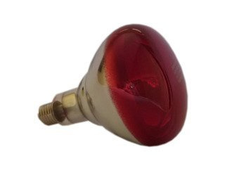 Żarówka promiennika PHILIPS 250W czerwona